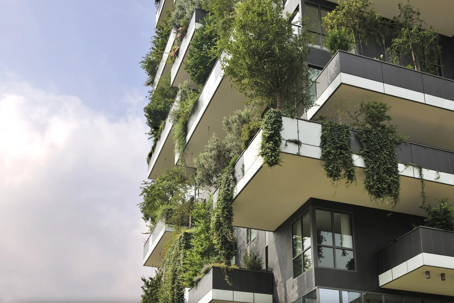 Design biofílico: conexão entre natureza e arquitetura